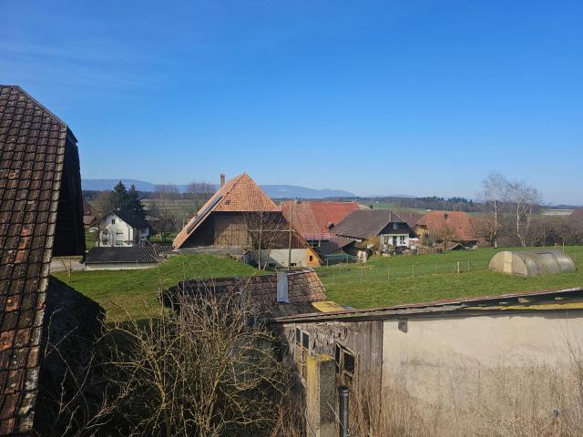 Haus kaufen in Höchstetten, Bern
