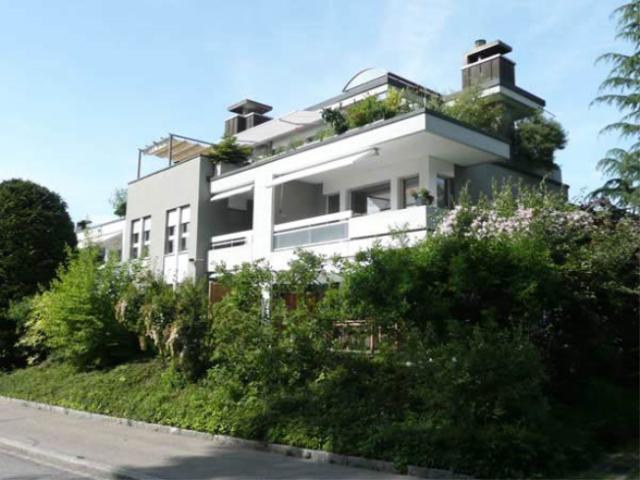Attikawohnung mieten in Birmensdorf (ZH), Zürich