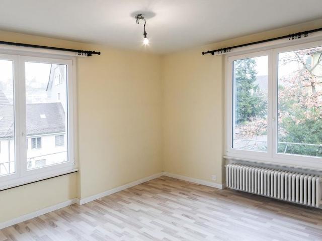 Apartment mieten in Langwiesen, Feuerthalen