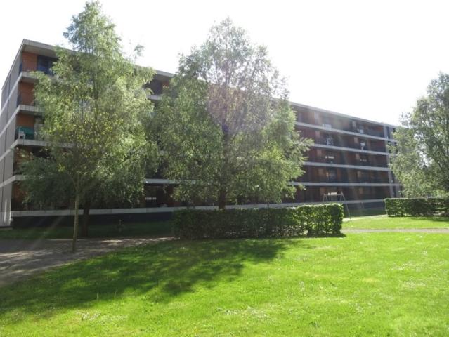 Wohnung mieten in Biel, Bern