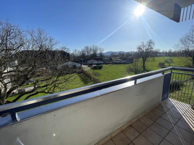 Apartment kaufen in Hard