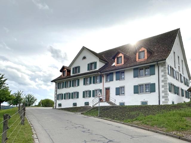 Apartment mieten in Unterengstringen, Zürich