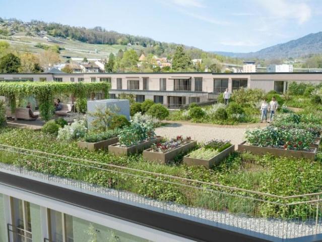 Wohnung kaufen in Vevey, Waadt