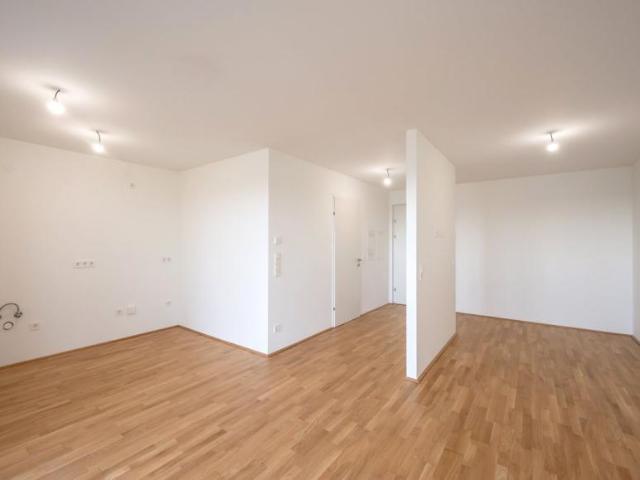 Wohnung kaufen in KG Innere Stadt, Wien
