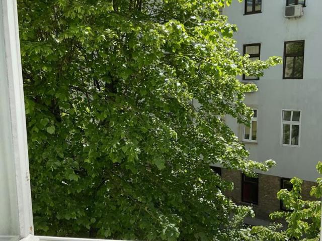 Wohnung mieten in Wien