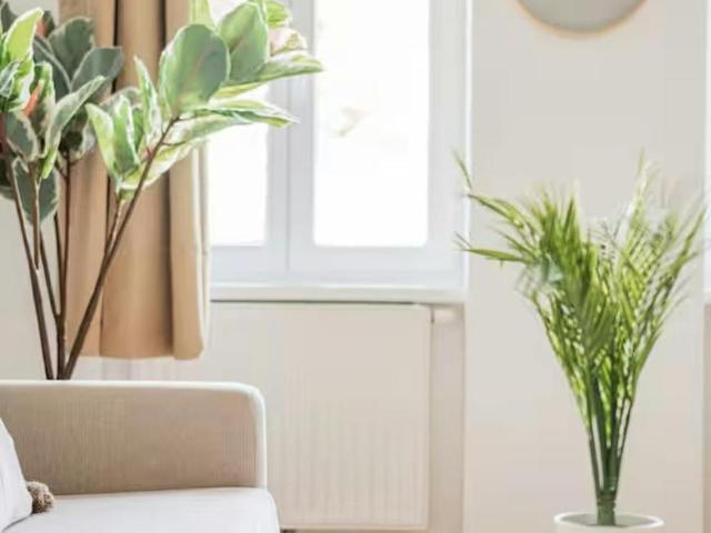 Wohnung mieten in Währing, Wien