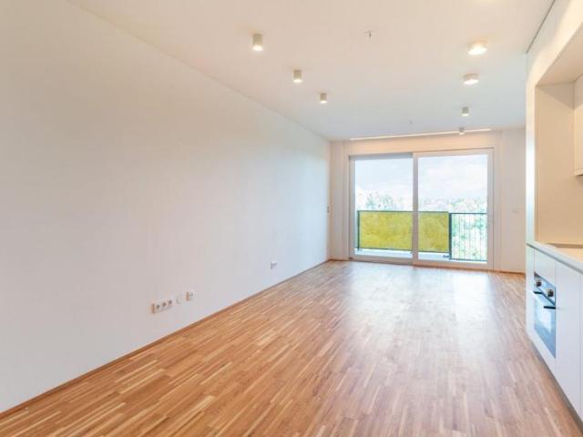 Wohnung mieten in Innere Stadt, Wien