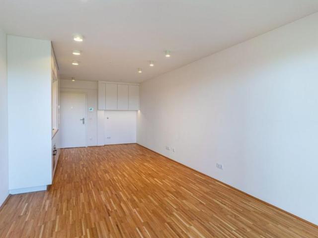 Wohnung mieten in Innere Stadt, Wien