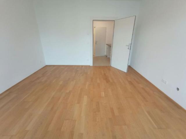 Wohnung mieten in KG Innere Stadt, Wien