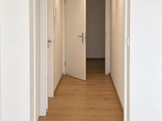 Wohnung mieten in Innere Stadt, Wien