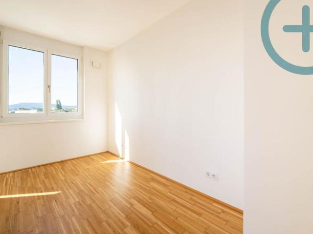Wohnung mieten in Innere Stadt, Wien