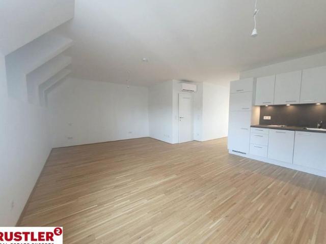 Wohnung mieten in Innere Stadt, Wien