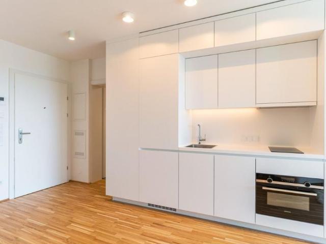 Wohnung mieten in Innere Stadt, Wien