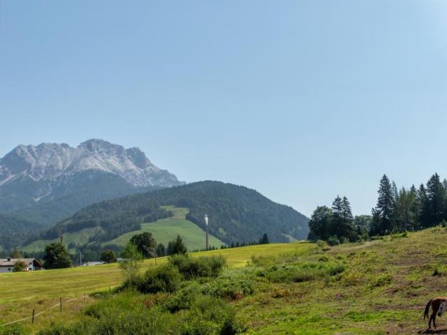 Wohnung kaufen in Hochfilzen, Tirol