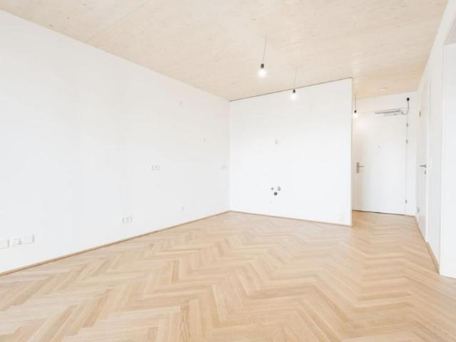Wohnung kaufen in Innere Stadt, Wien