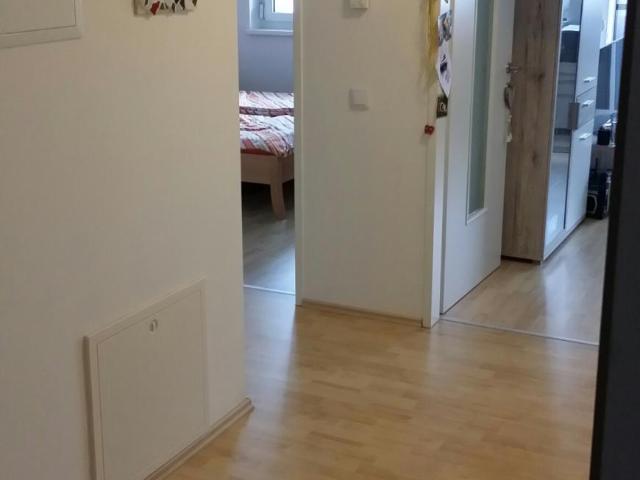 Wohnung mieten in Gols, Burgenland