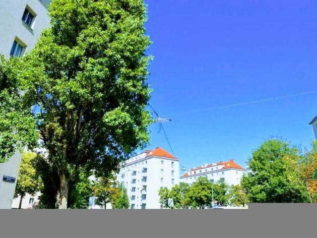 Wohnung mieten in KG Brigittenau, Wien