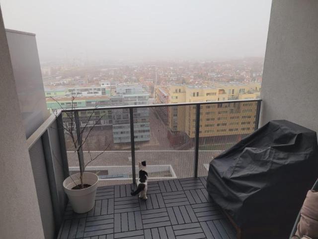 Wohnung mieten in KG Oberlaa Stadt, Wien