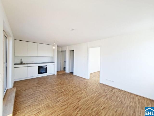 Wohnung mieten in KG Innere Stadt, Wien
