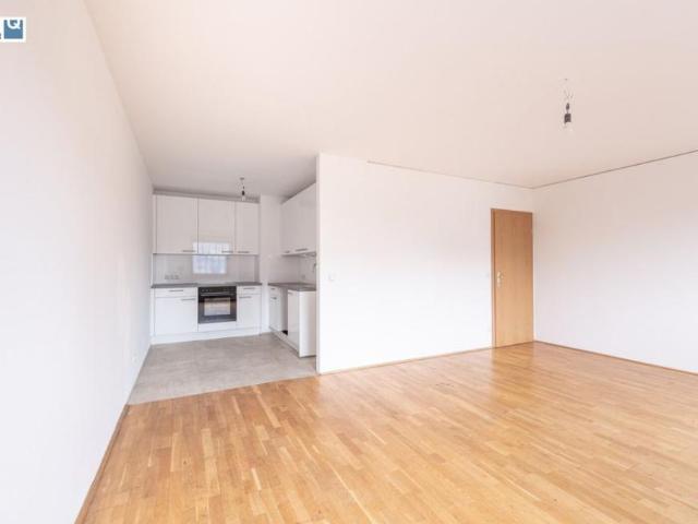 Wohnung mieten in Innere Stadt, Wien