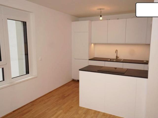 Wohnung mieten in KG Innere Stadt, Wien