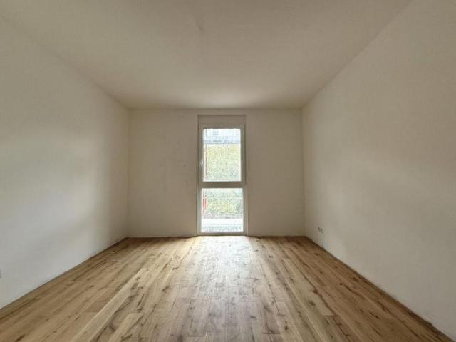 Wohnung mieten in Innere Stadt, Wien