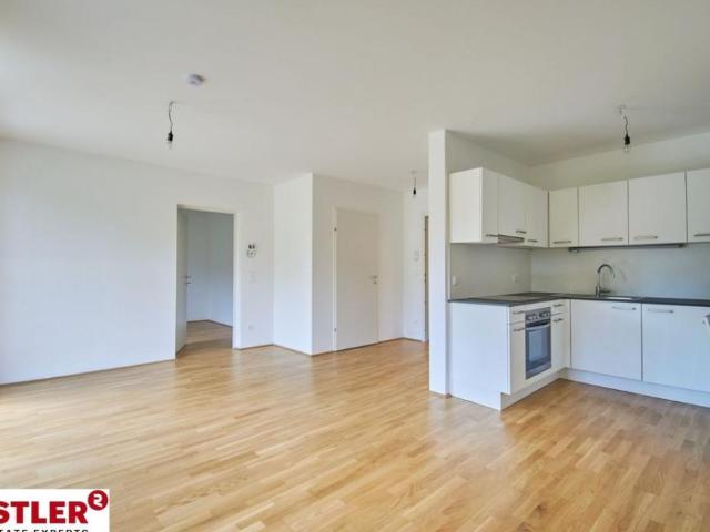 Wohnung mieten in Innere Stadt, Wien