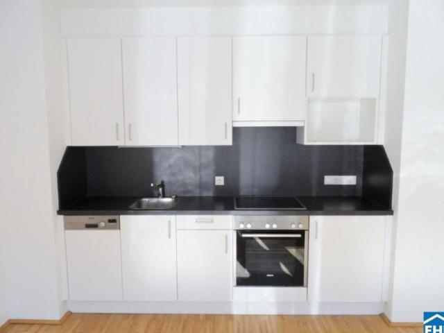 Wohnung mieten in Innere Stadt, Wien