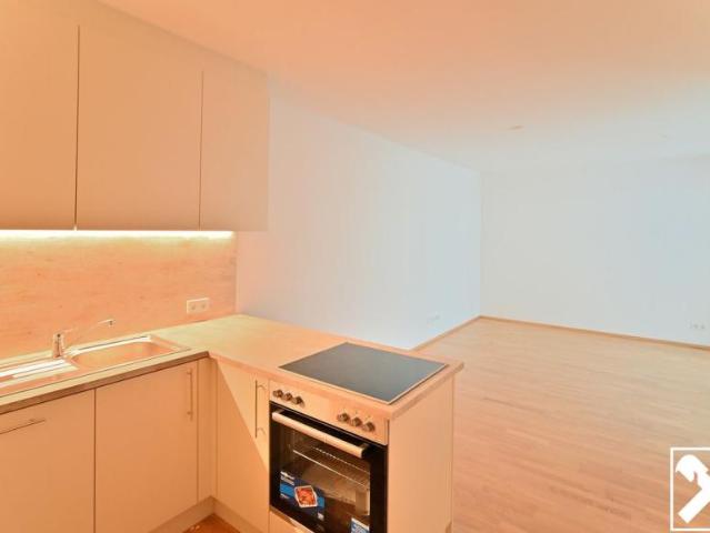 Wohnung mieten in KG Innere Stadt, Wien