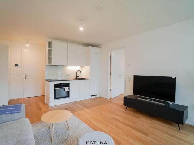 Wohnung mieten in Innere Stadt, Wien