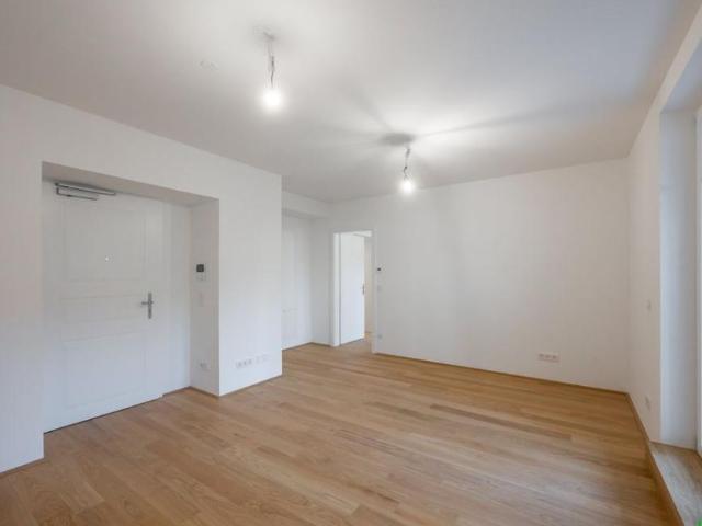 Wohnung mieten in Innere Stadt, Wien