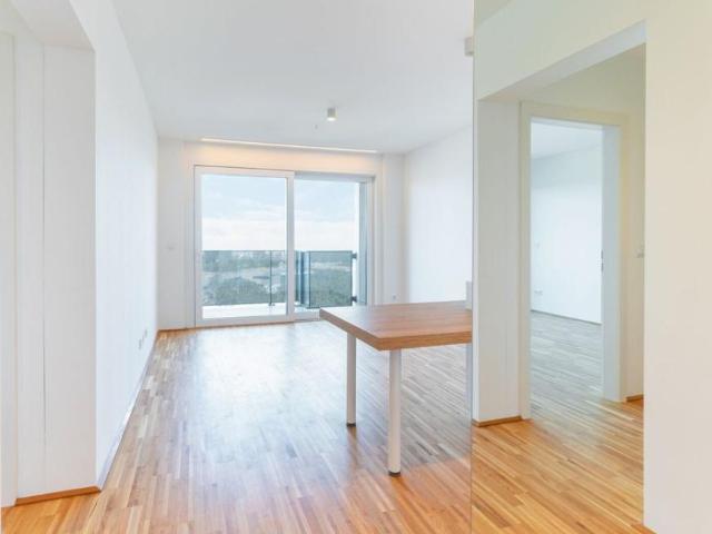 Wohnung mieten in Innere Stadt, Wien