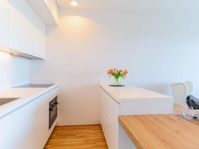 Wohnung mieten in Innere Stadt, Wien