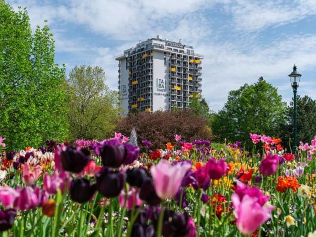 Wohnung mieten in Innere Stadt, Wien