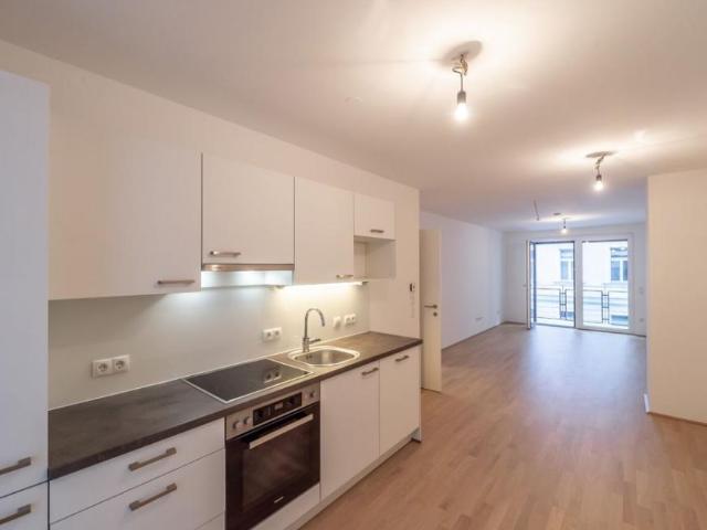 Wohnung mieten in Innere Stadt, Wien