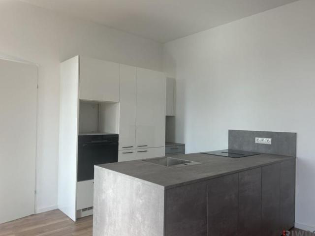 Wohnung mieten in Innere Stadt, Wien