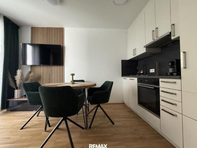 Wohnung mieten in Innere Stadt, Wien