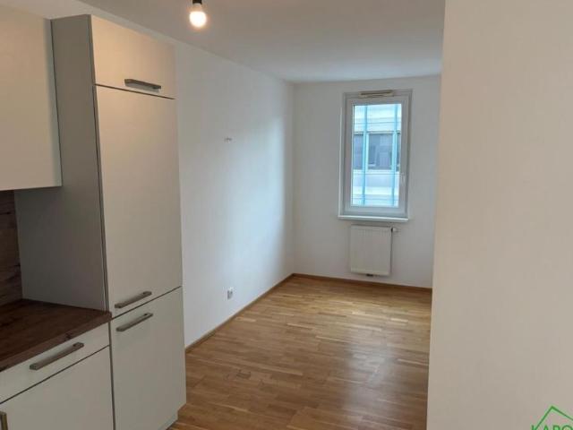 Wohnung mieten in KG Innere Stadt, Wien