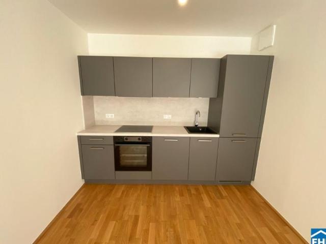 Wohnung mieten in Innere Stadt, Wien