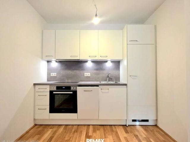 Wohnung mieten in Innere Stadt, Wien