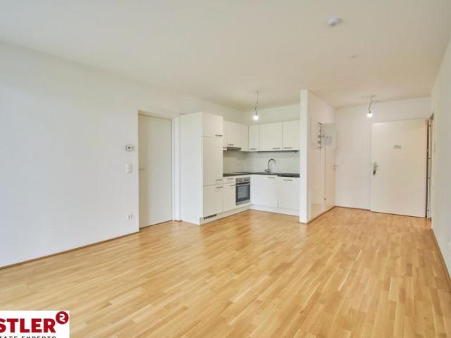 Wohnung mieten in Innere Stadt, Wien