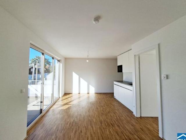 Wohnung mieten in KG Innere Stadt, Wien