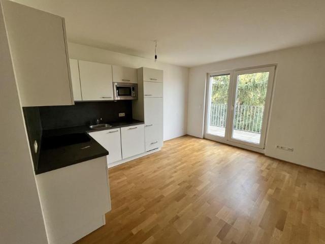 Wohnung mieten in KG Innere Stadt, Wien