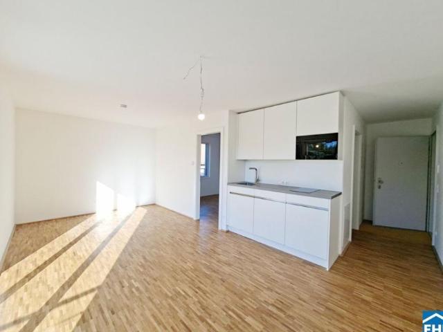 Wohnung mieten in KG Innere Stadt, Wien