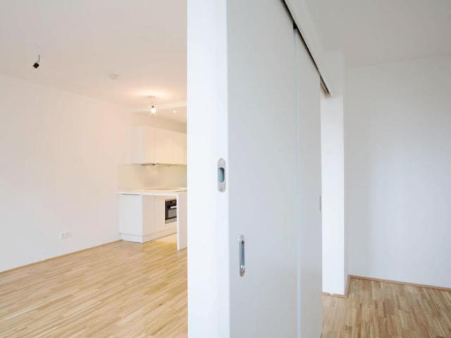 Wohnung mieten in Innere Stadt, Wien