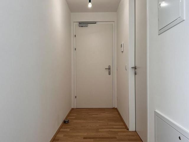 Wohnung mieten in Innere Stadt, Wien