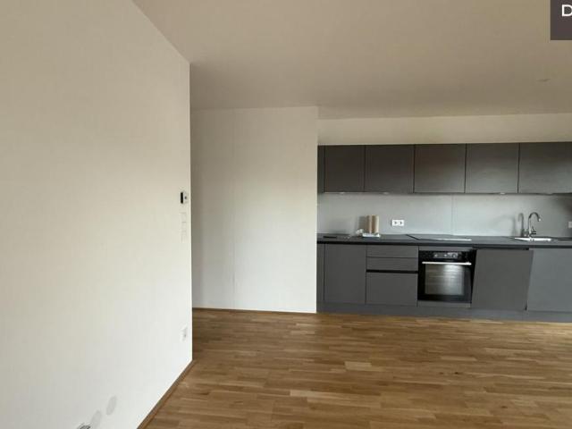 Wohnung mieten in KG Innere Stadt, Wien