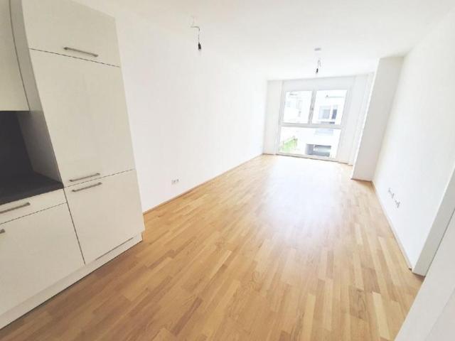 Wohnung mieten in Innere Stadt, Wien
