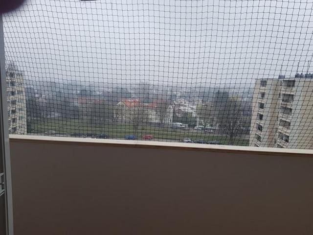 Wohnung mieten in Wiener Neustadt, Niederösterreich