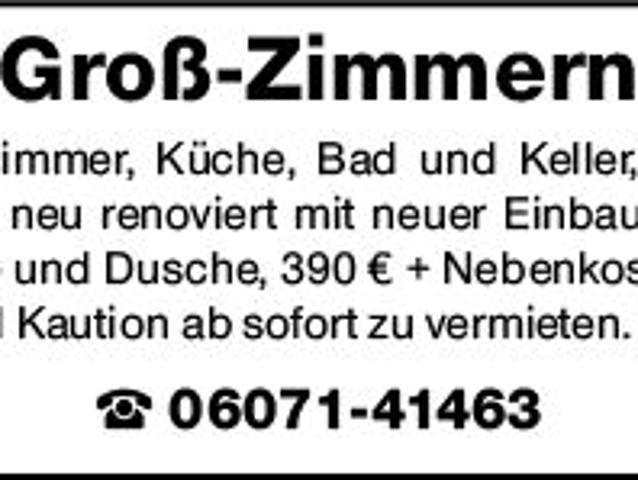Etagenwohnung mieten in Groß-Zimmern